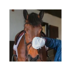 Loesdau Schuhpflege|Lederpflege<CARR & DAY & MARTIN Belvoir Lederreinigungs-Handschuhe