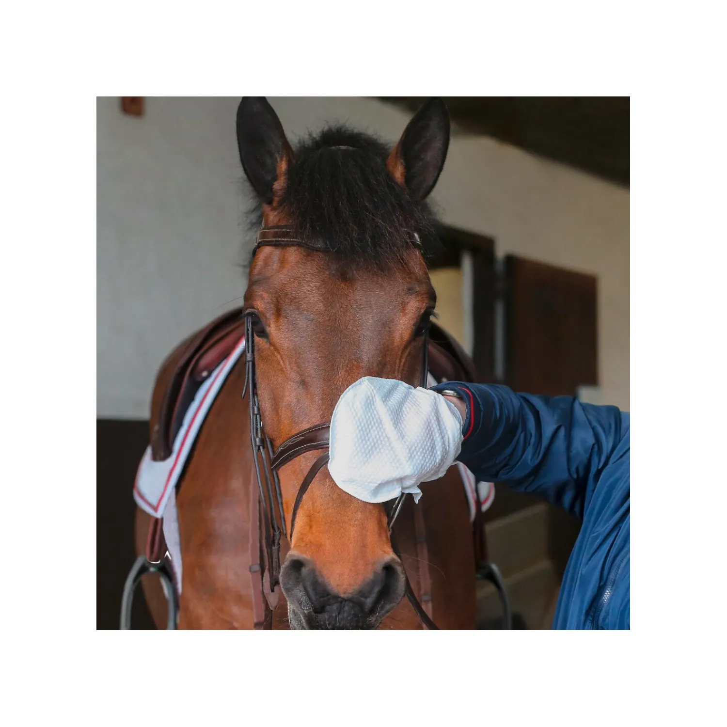 Loesdau Schuhpflege|Lederpflege<CARR & DAY & MARTIN Belvoir Lederreinigungs-Handschuhe