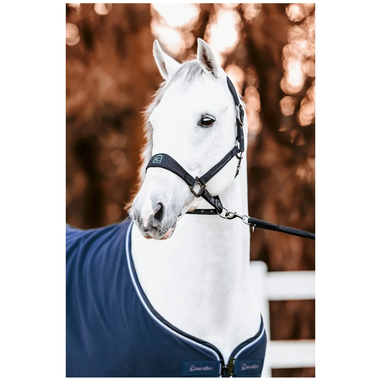 Cavallo Pferdedecken|Transportdecken<Abschwitzdecke CAVALHEIDA