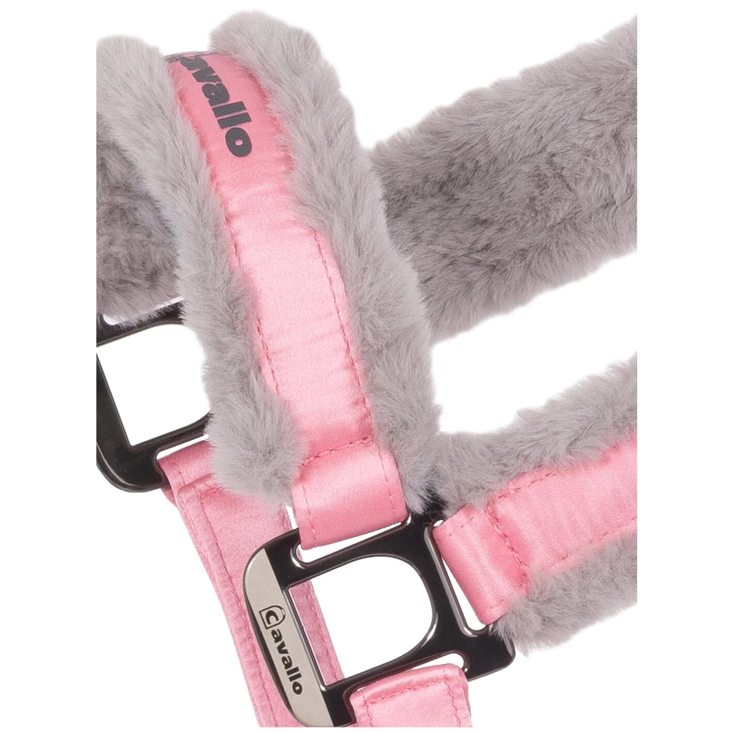 Cavallo Halfter<Halfter CAVALJERO