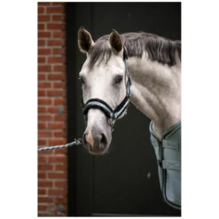 Cavallo Halfter<Halfter CAVALJERO