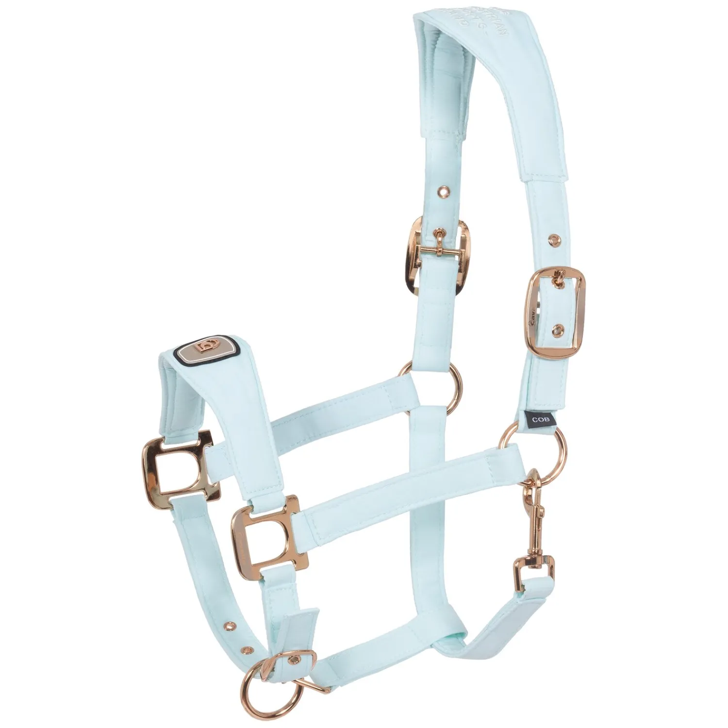 Cavallo Halfter<Halfter CAVALPAWEL