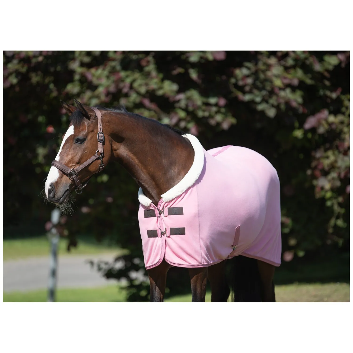 Cheval de Luxe Geschenke Für Reiter|Pferdedecken<Abschwitzdecke La Rochelle