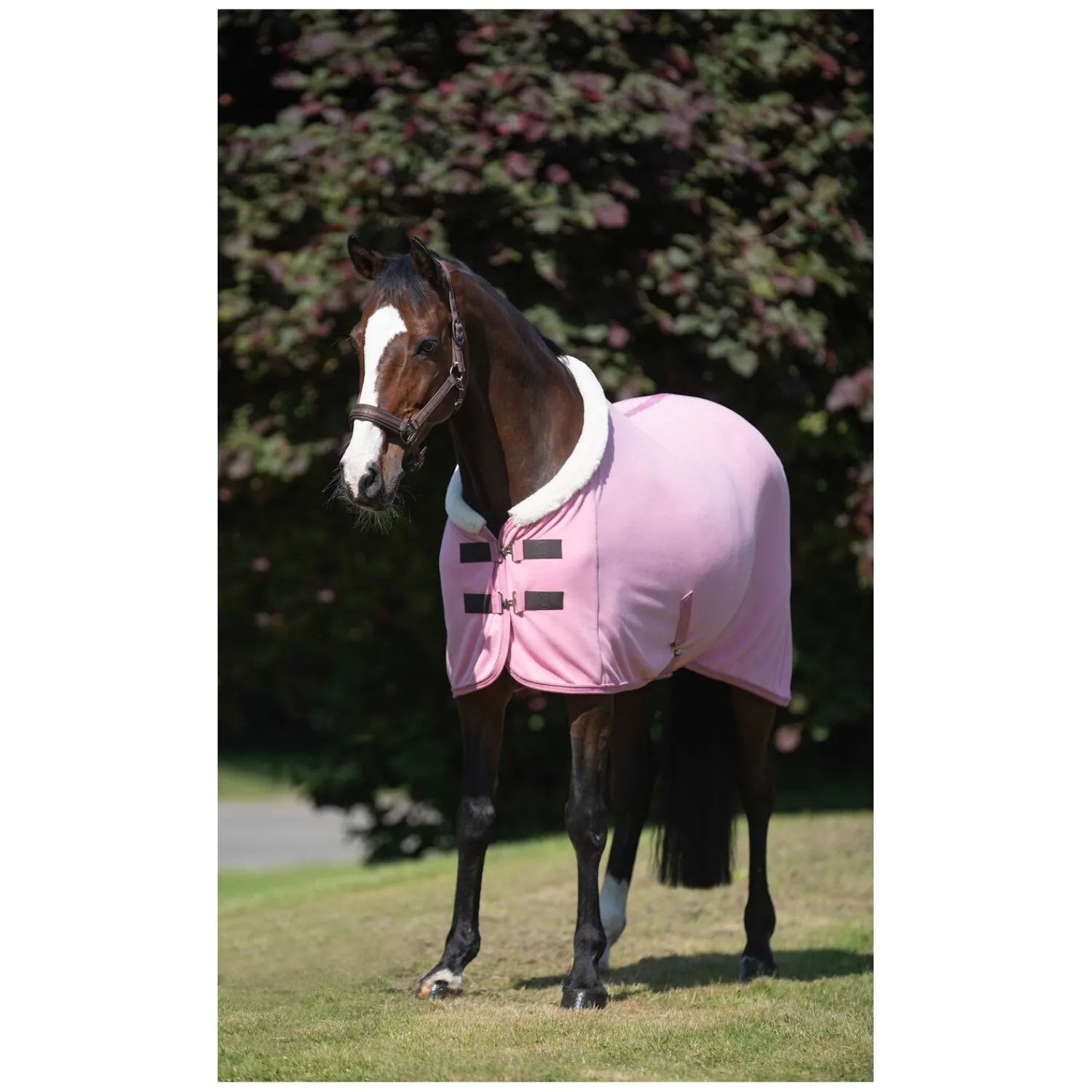 Cheval de Luxe Geschenke Für Reiter|Pferdedecken<Abschwitzdecke La Rochelle