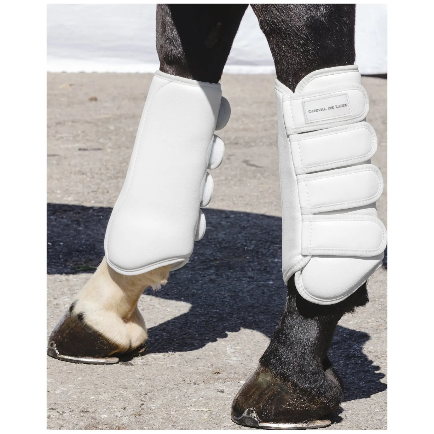 Cheval de Luxe Gamaschen<Dressurgaaschen, hinten