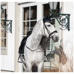Cheval de Luxe Fliegenhauben<Fliegenohren Avignon