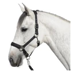Cheval de Luxe Halfter<Halfter Lyon