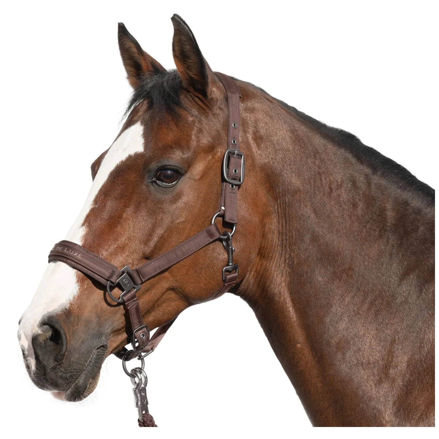 Cheval de Luxe Halfter<Halfter Lyon