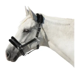 Cheval de Luxe Halfter<Halfter Manila