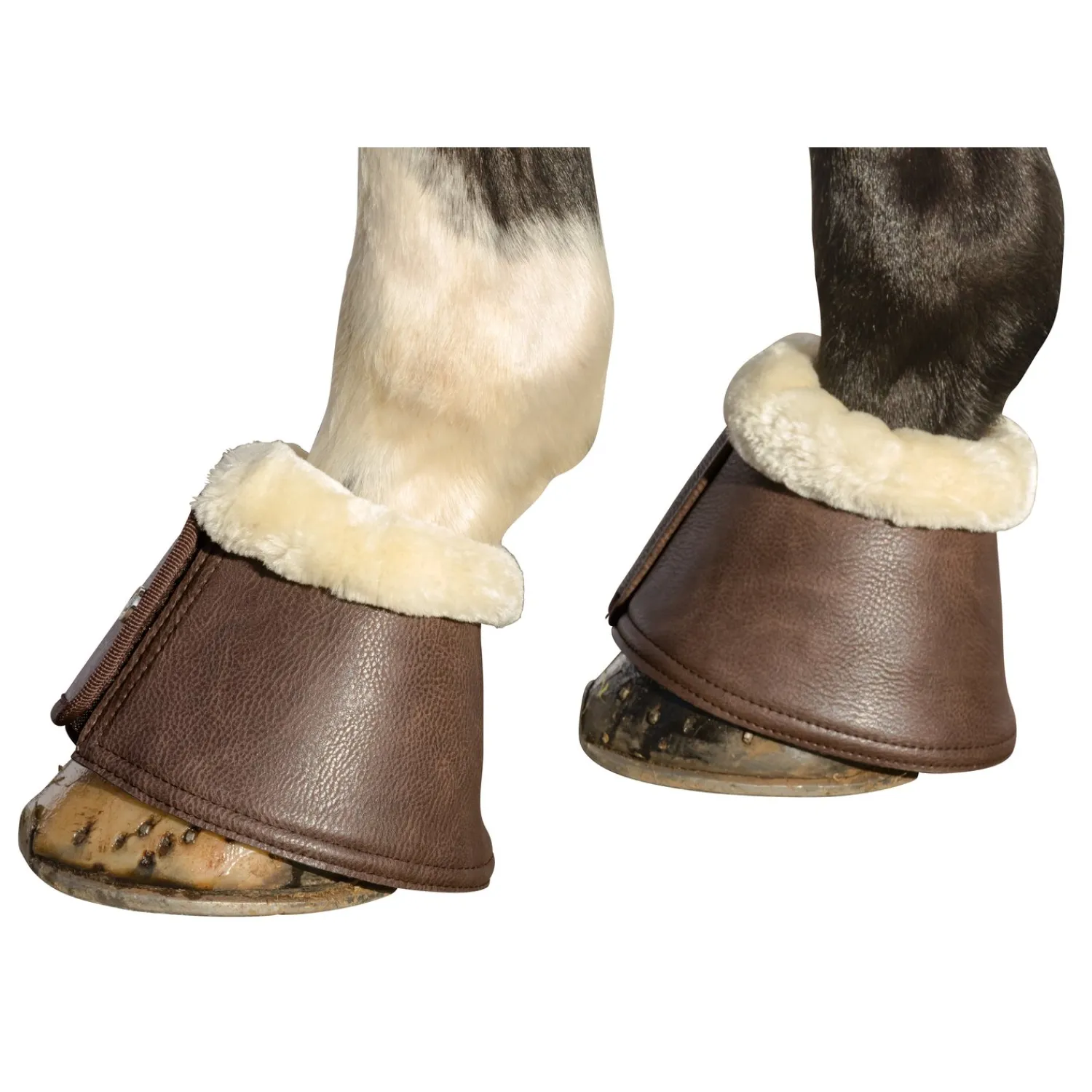 Cheval de Luxe Hufglocken<Hufgocken oft