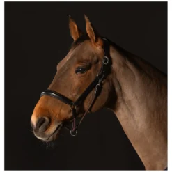 Cheval de Luxe Halfter<Lederhalfter Annecy