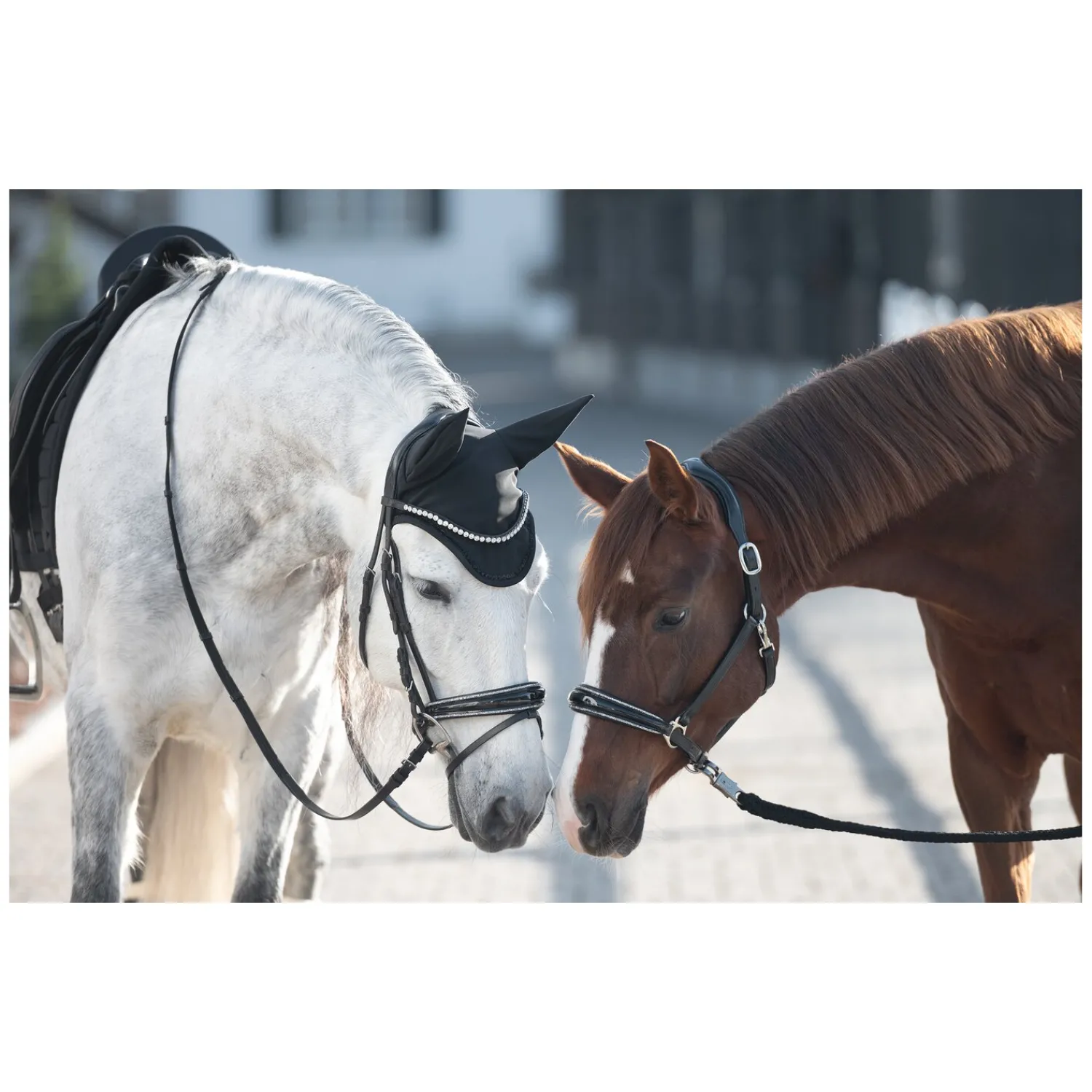 Cheval de Luxe Halfter<Lederhalfter San Francisco