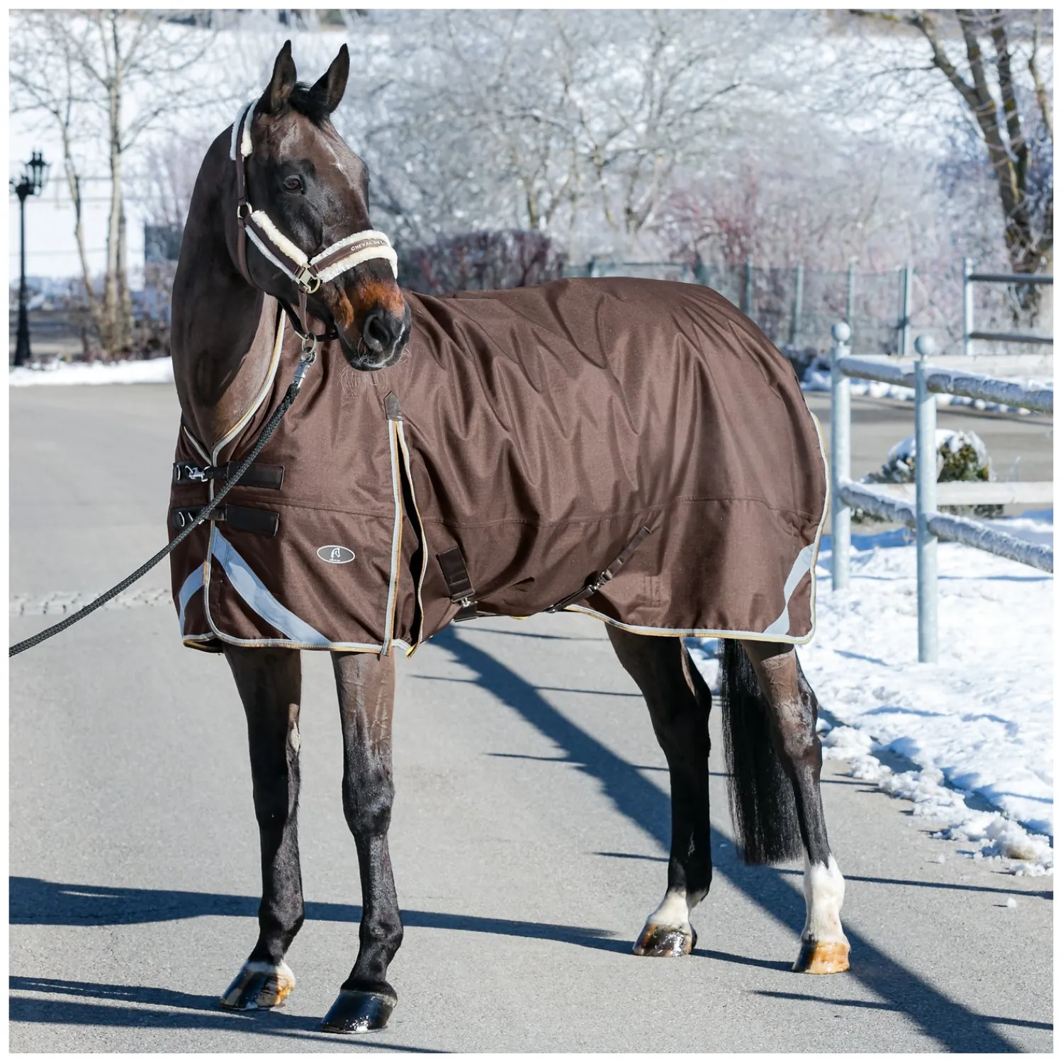 Cheval de Luxe Pferdedecken<Outdoordecke Avignon Highneck Fleece