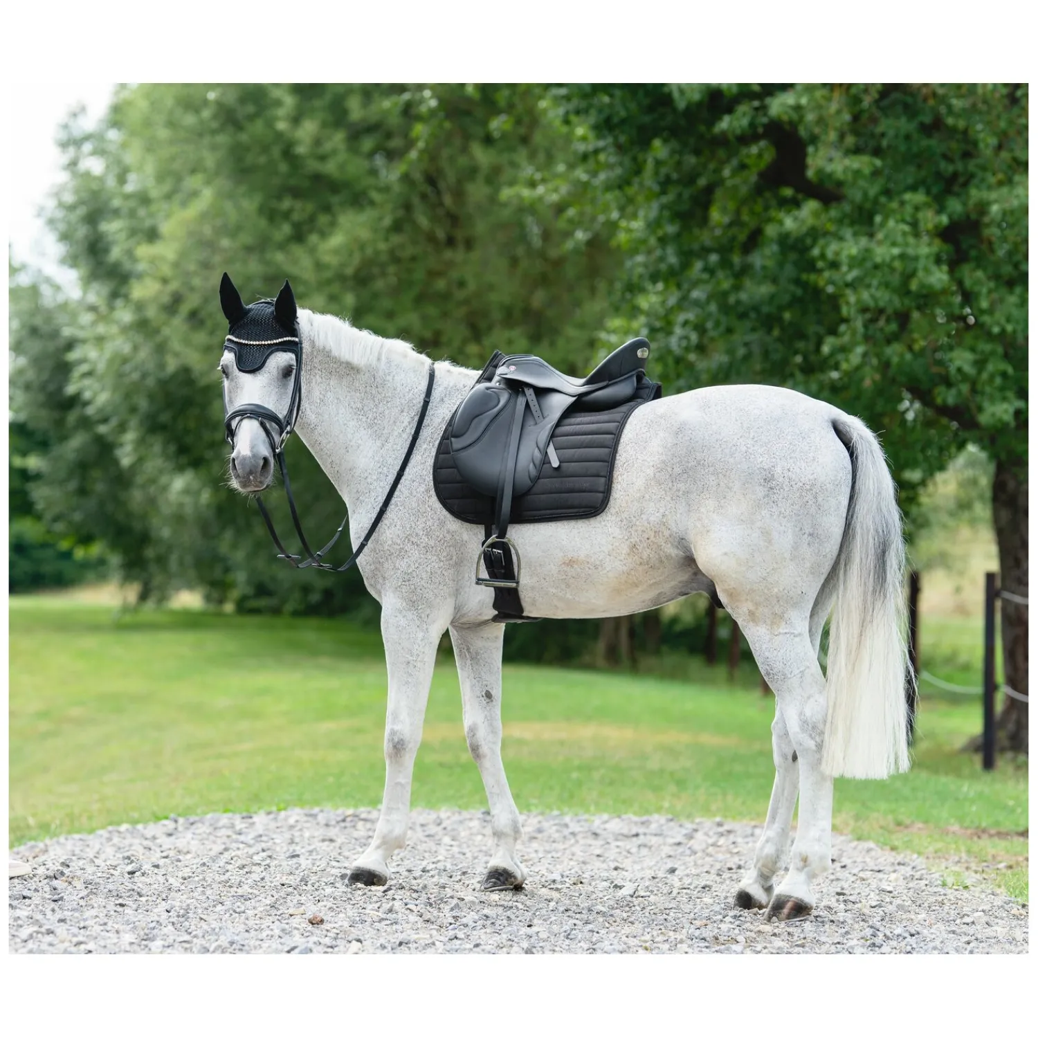 Loesdau Sättel & Zubehör|Schabracken<Cheval de Luxe Schabracke Basic Glitter