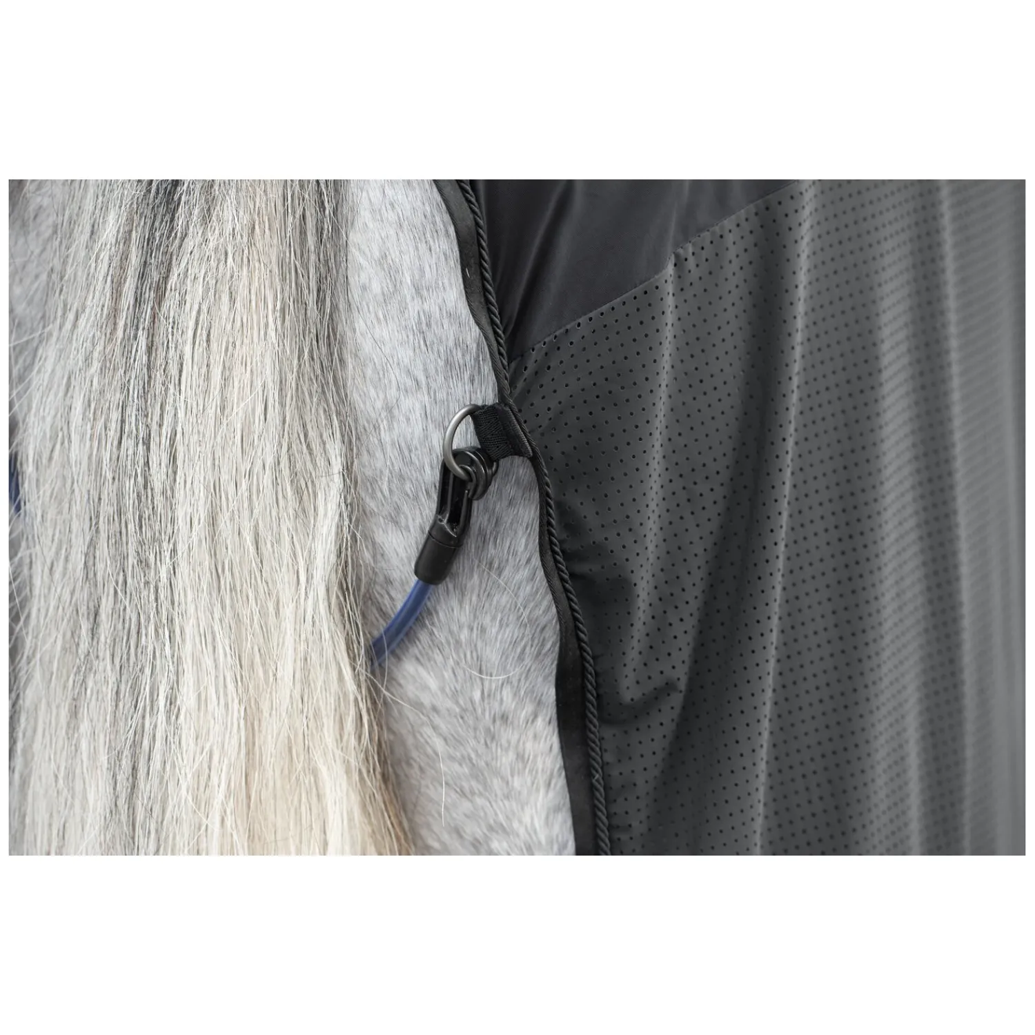 Cheval de Luxe Pferdedecken|Transportdecken<Transportdecke