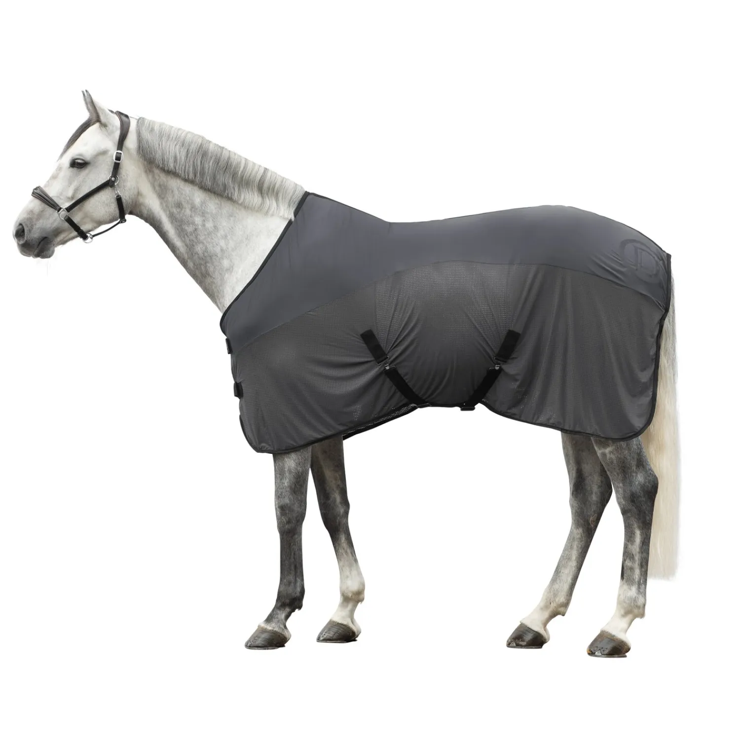 Cheval de Luxe Pferdedecken|Transportdecken<Transportdecke