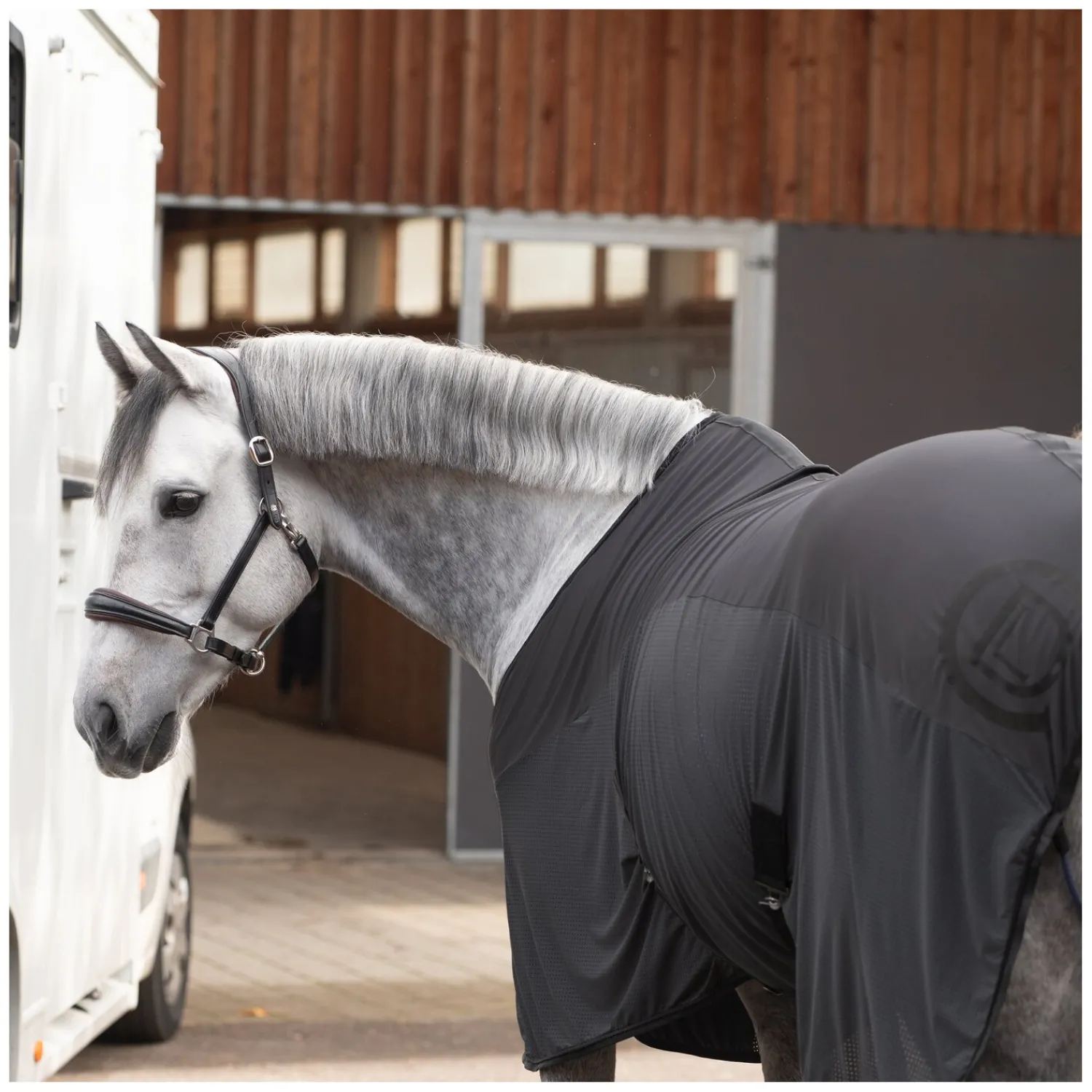 Cheval de Luxe Pferdedecken|Transportdecken<Transportdecke