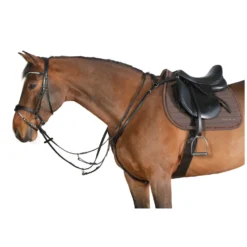 Cheval de Luxe Trensen<Trensenzaum Dijon