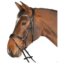 Cheval de Luxe Trensen<Trensenzaum Dijon