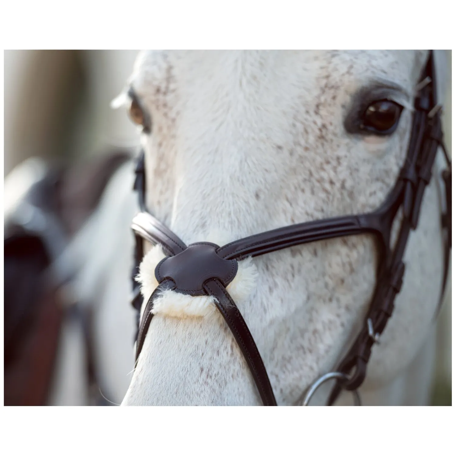 Cheval de Luxe Trensen<Trensenzaum Miami