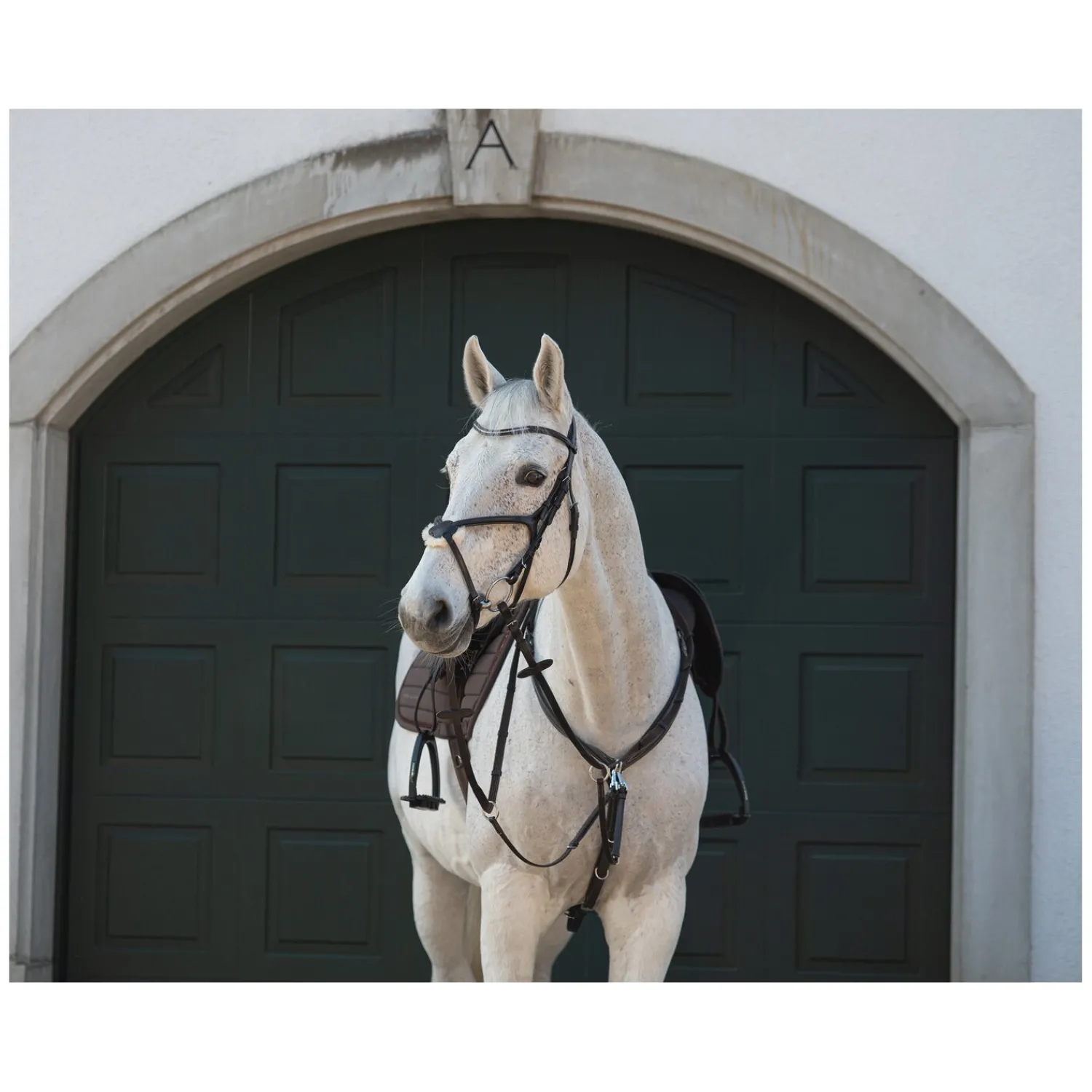 Cheval de Luxe Trensen<Trensenzaum Miami