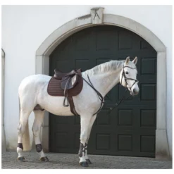 Cheval de Luxe Trensen<Trensenzaum Miami