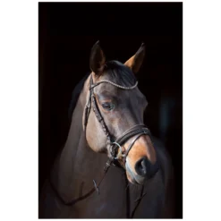 Cheval de Luxe Trensen<Trensenzaum San Francisco