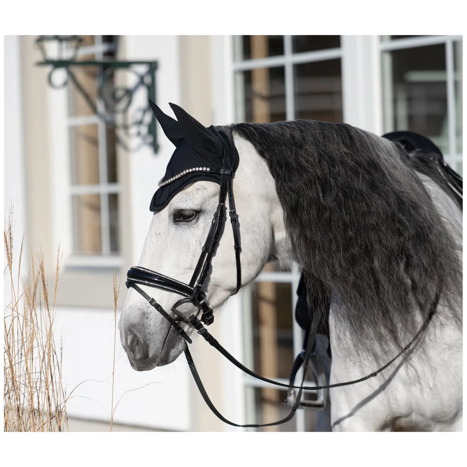 Cheval de Luxe Trensen<Trensenzaum San Francisco