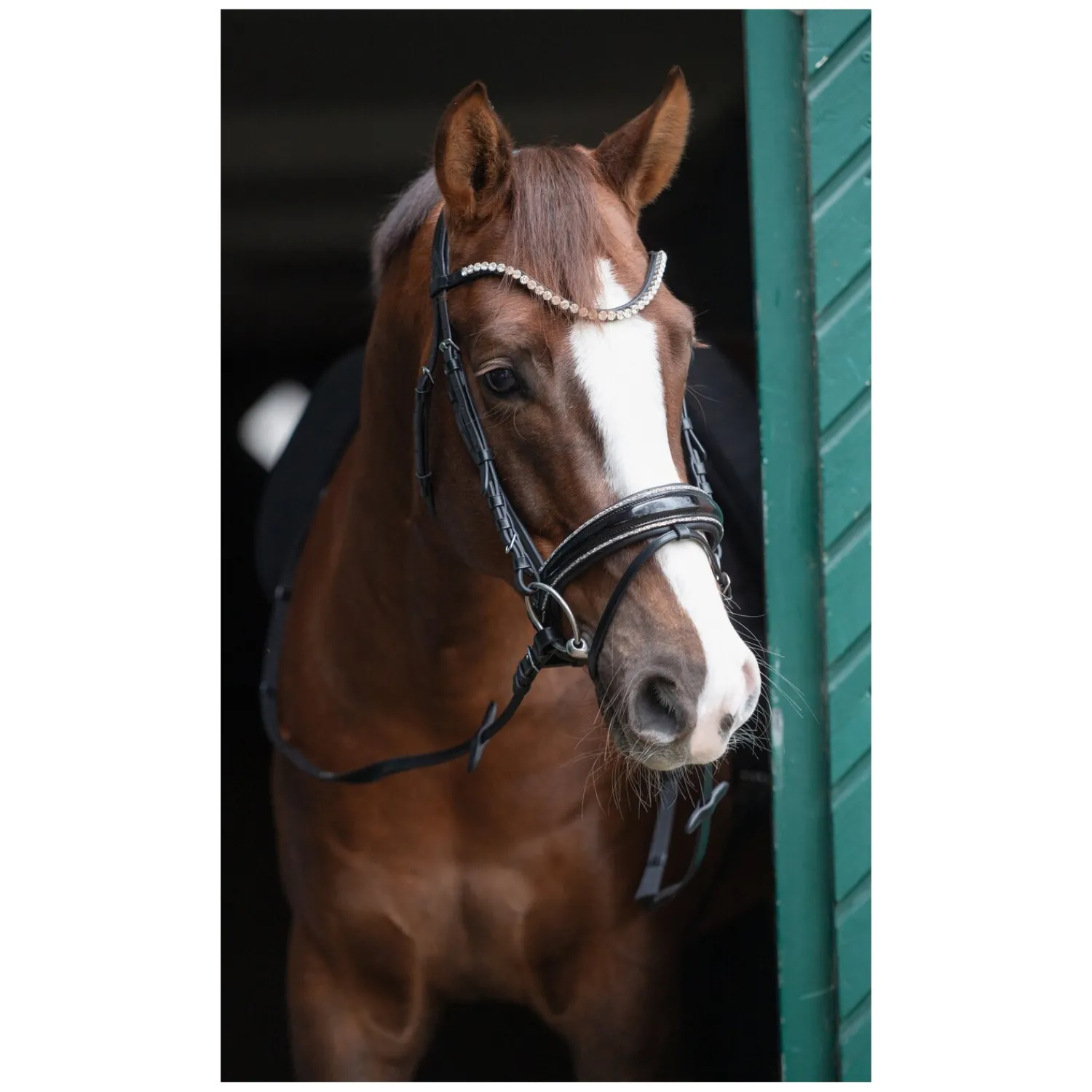 Cheval de Luxe Trensen<Trensenzaum San Francisco