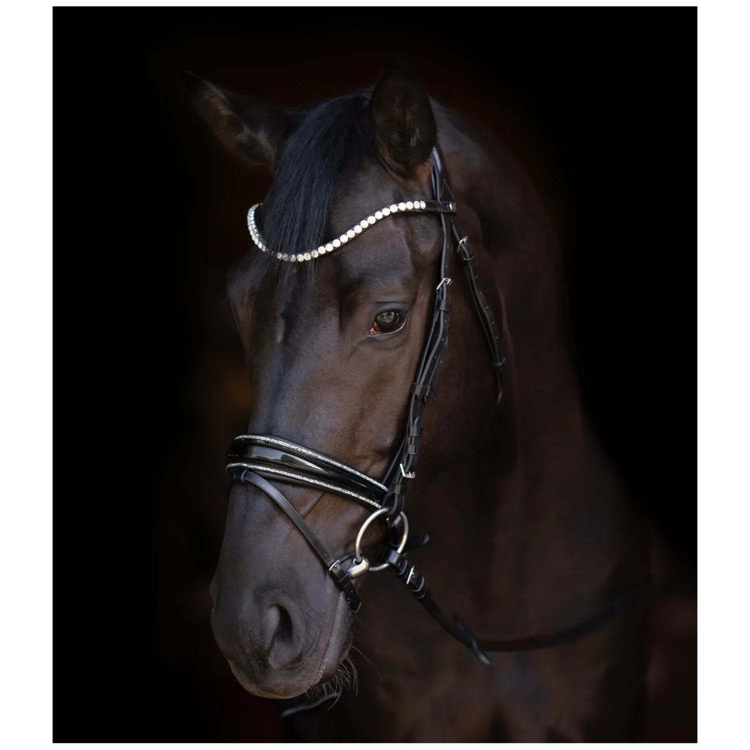 Cheval de Luxe Trensen<Trensenzaum San Francisco