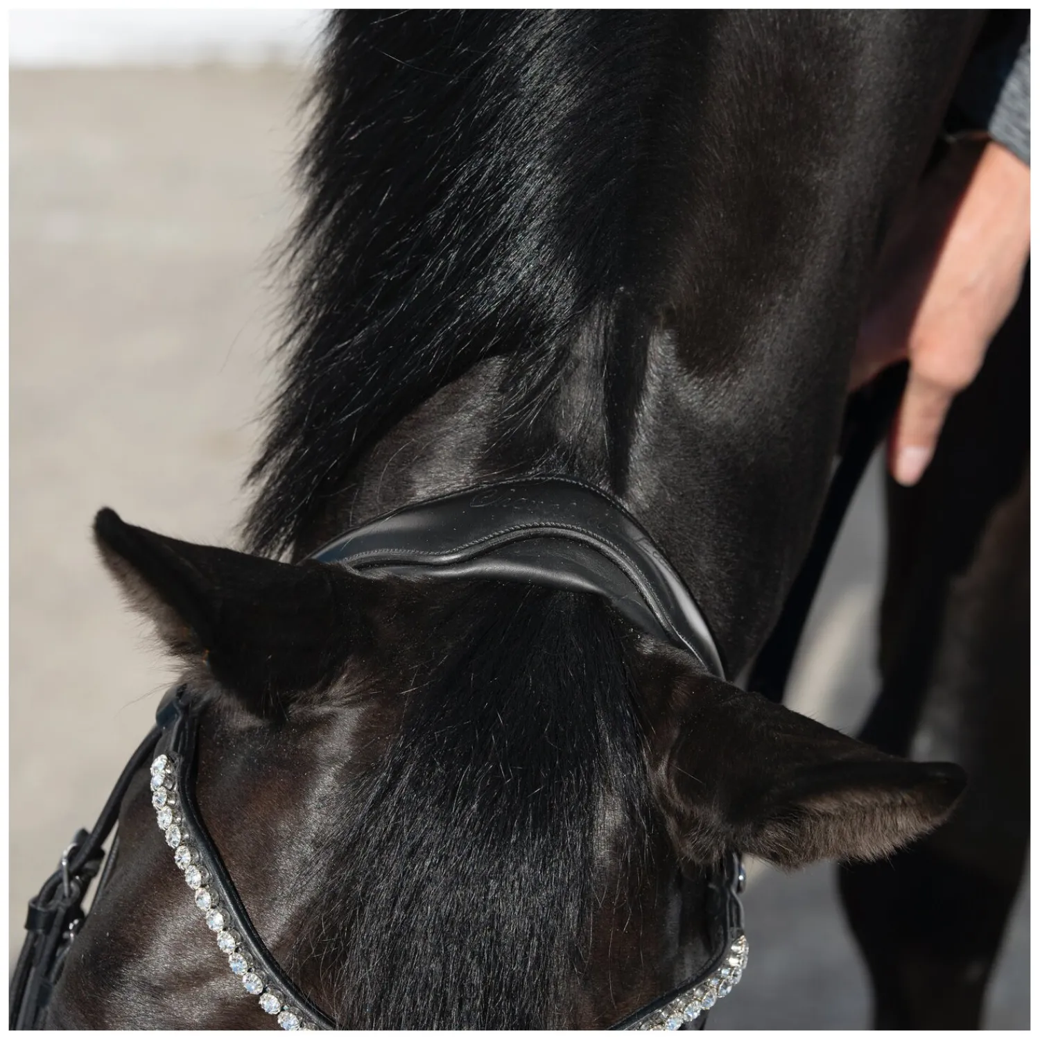 Cheval de Luxe Trensen<Trensenzaum San Francisco