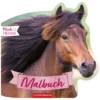 Loesdau Geschenke Für Reiter<COPPENRATH Malbuch mit Formstanzung Pferdefreunde