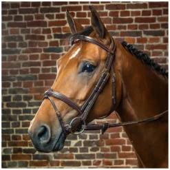 Loesdau Trensen<Dy'on Trense mit kombiniertem Reithalfter D COLLECTION