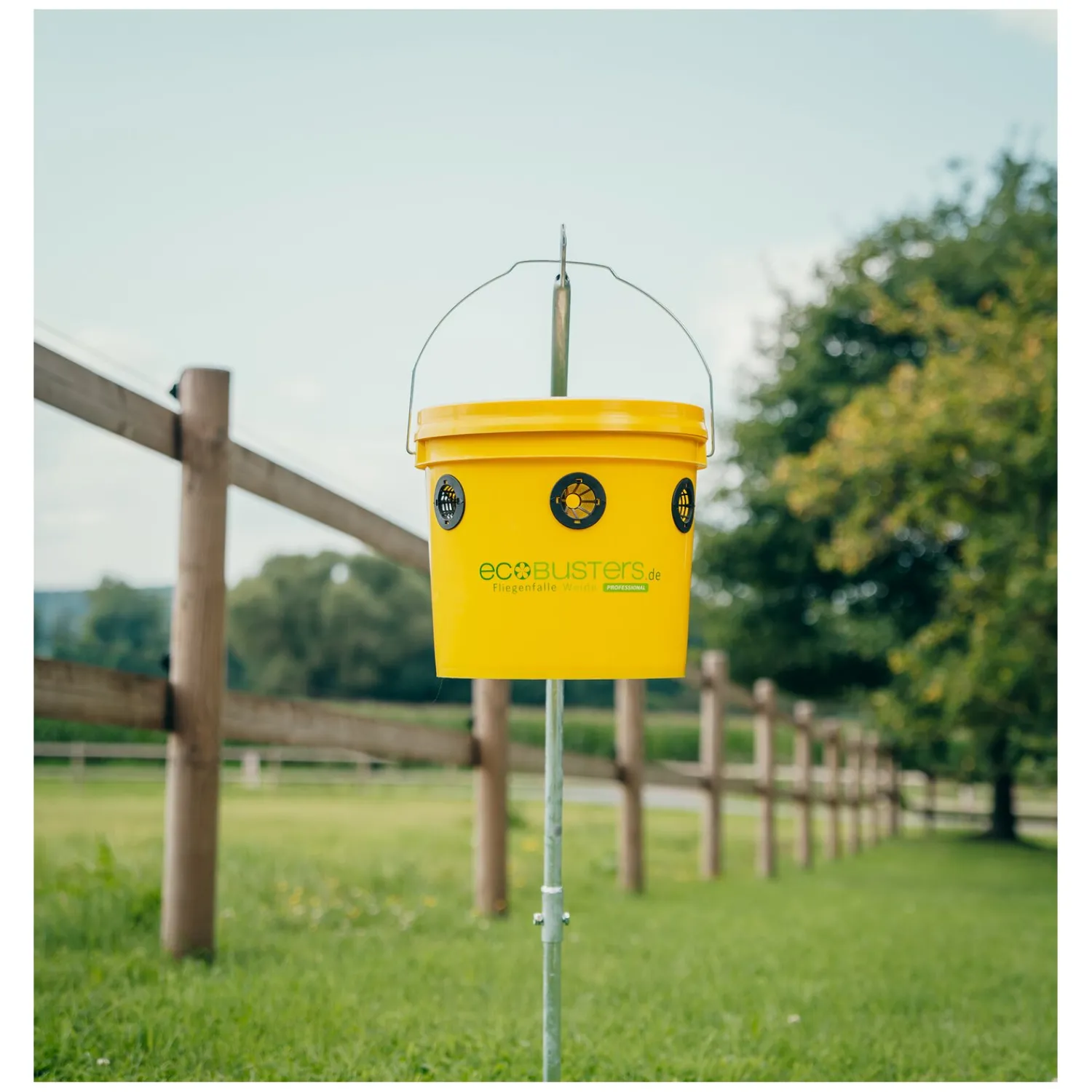Loesdau Fliegenfallen<ecoBUSTERS Fliegenfalle Weide Professional + Lockstoff