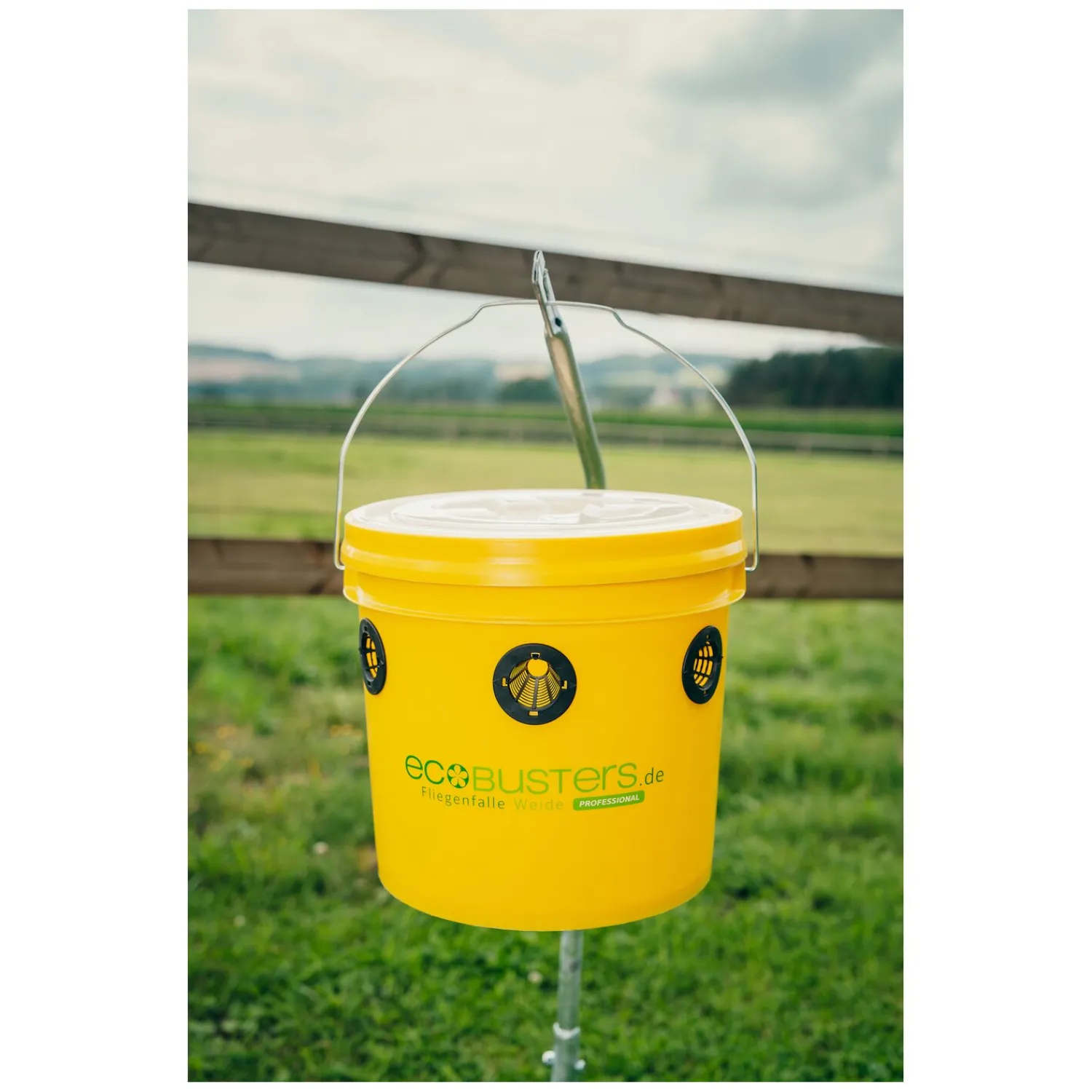 Loesdau Fliegenfallen<ecoBUSTERS Fliegenfalle Weide Professional + Lockstoff