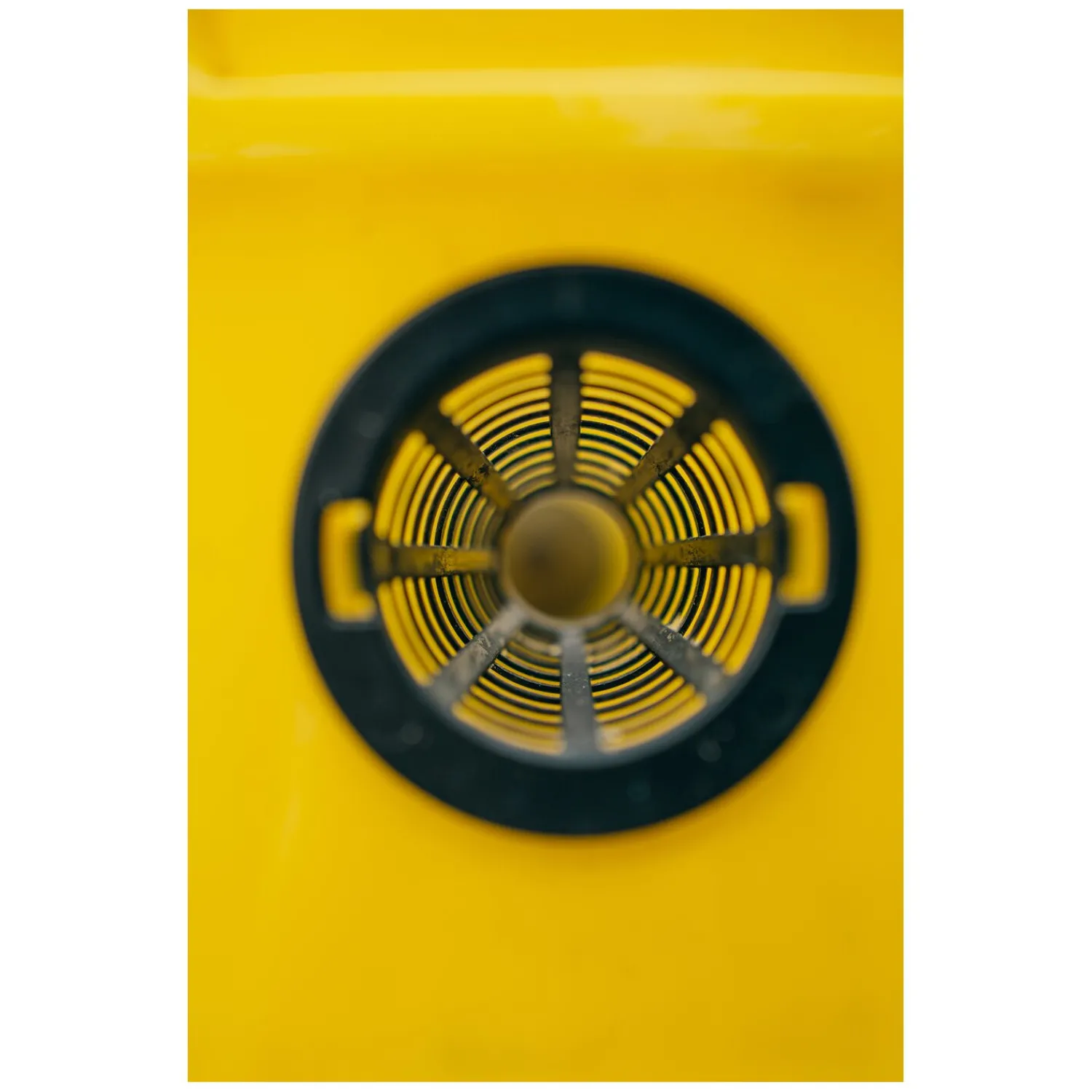 Loesdau Fliegenfallen<ecoBUSTERS Fliegenfalle Weide Professional + Lockstoff