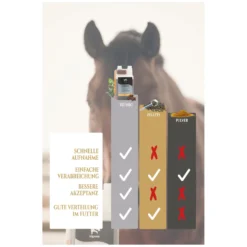 Loesdau Zusatz- Und Mineralfutter<EQUANIS BronchoActive