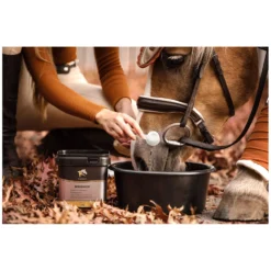 Loesdau Zusatz- Und Mineralfutter<EQUANIS DetoxBooster