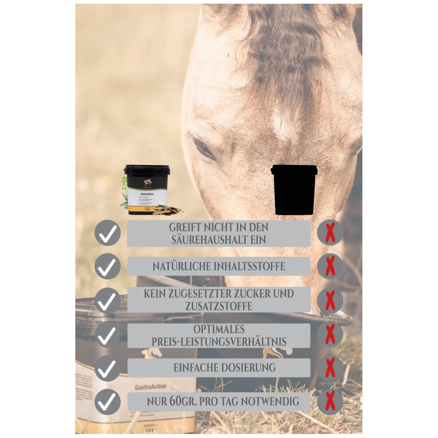 Loesdau Zusatz- Und Mineralfutter<EQUANIS GastroActive