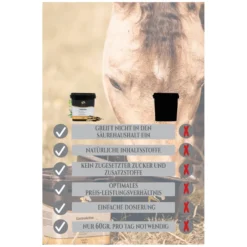 Loesdau Zusatz- Und Mineralfutter<EQUANIS GastroActive