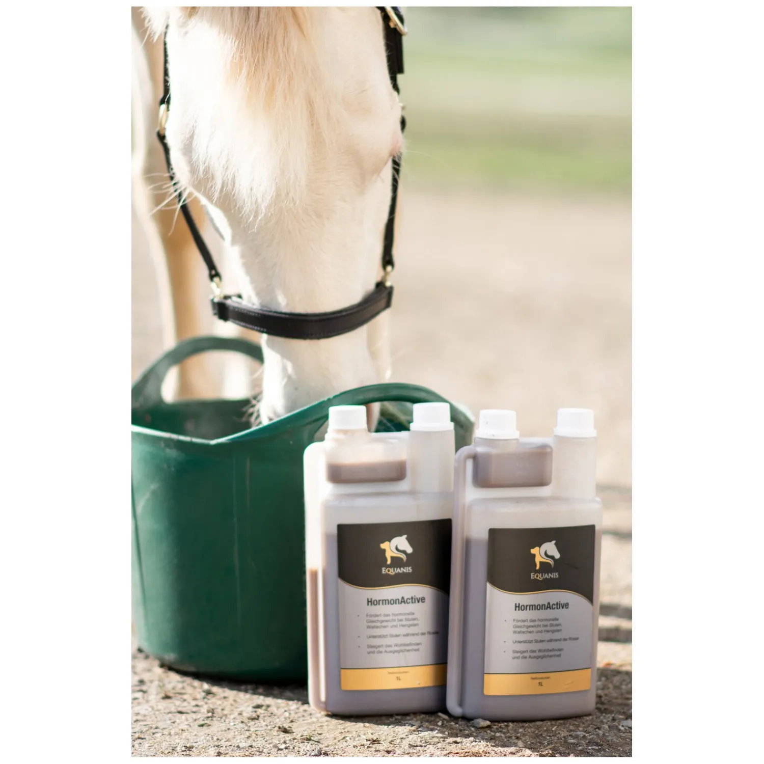 Loesdau Zusatz- Und Mineralfutter<EQUANIS Hormon Active