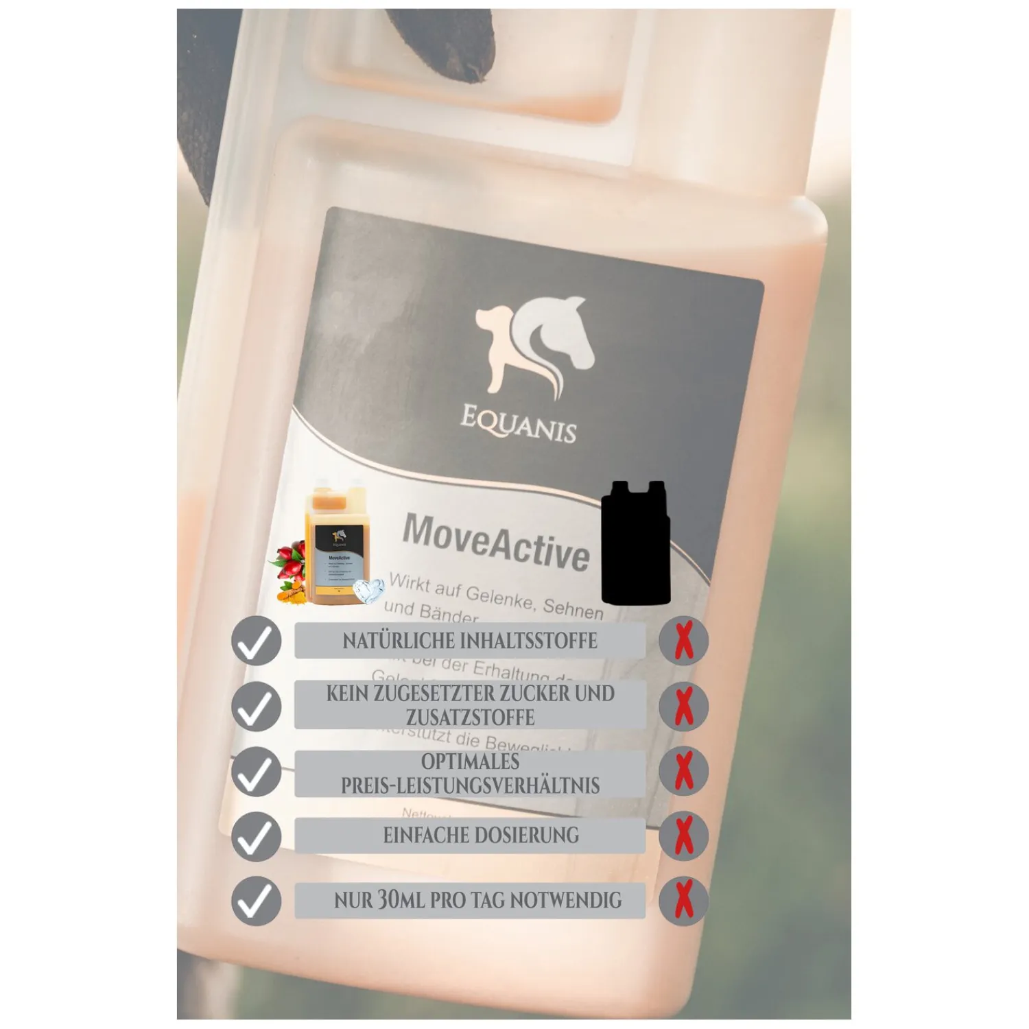 Loesdau Zusatz- Und Mineralfutter<EQUANIS MoveActive