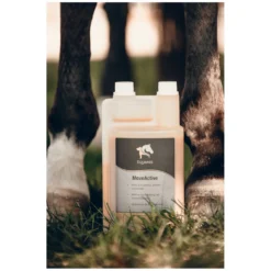 Loesdau Zusatz- Und Mineralfutter<EQUANIS MoveActive