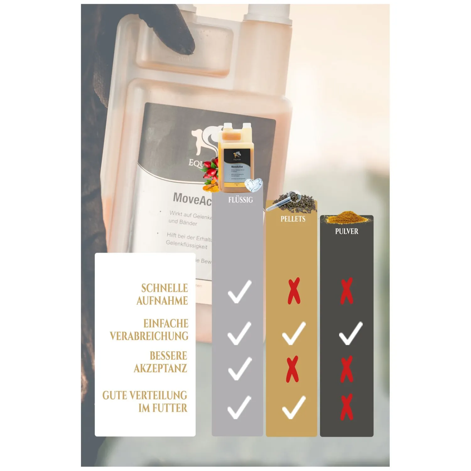 Loesdau Zusatz- Und Mineralfutter<EQUANIS MoveActive