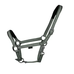 EQUEST Halfter<Halfter Dual Plus