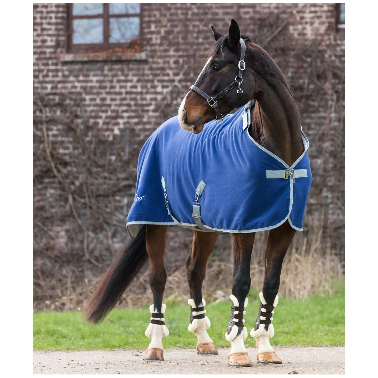 EQUINE-MICROTEC Pferdedecken|Transportdecken<Abschwitzdecke Flanell Touch