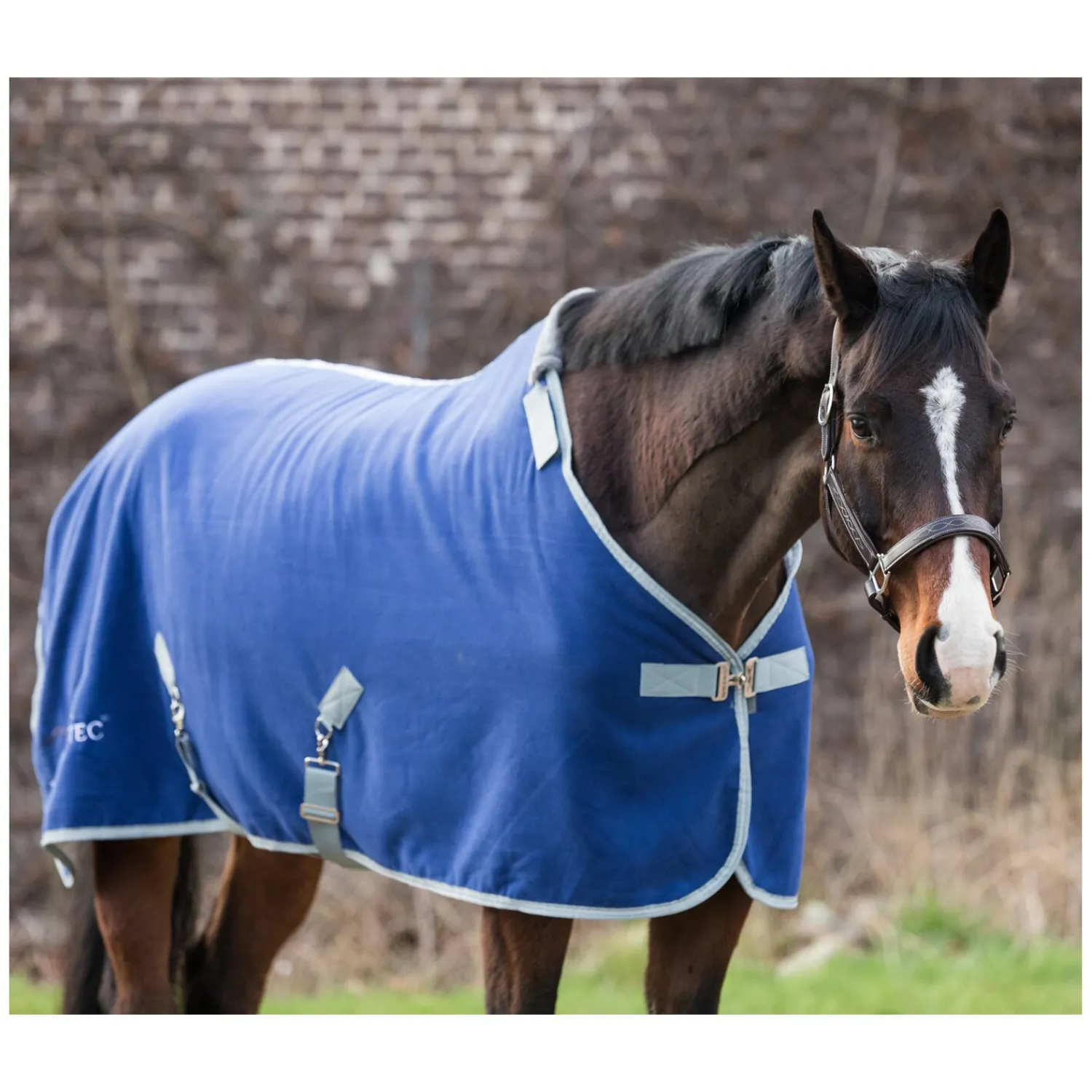 EQUINE-MICROTEC Pferdedecken|Transportdecken<Abschwitzdecke Flanell Touch