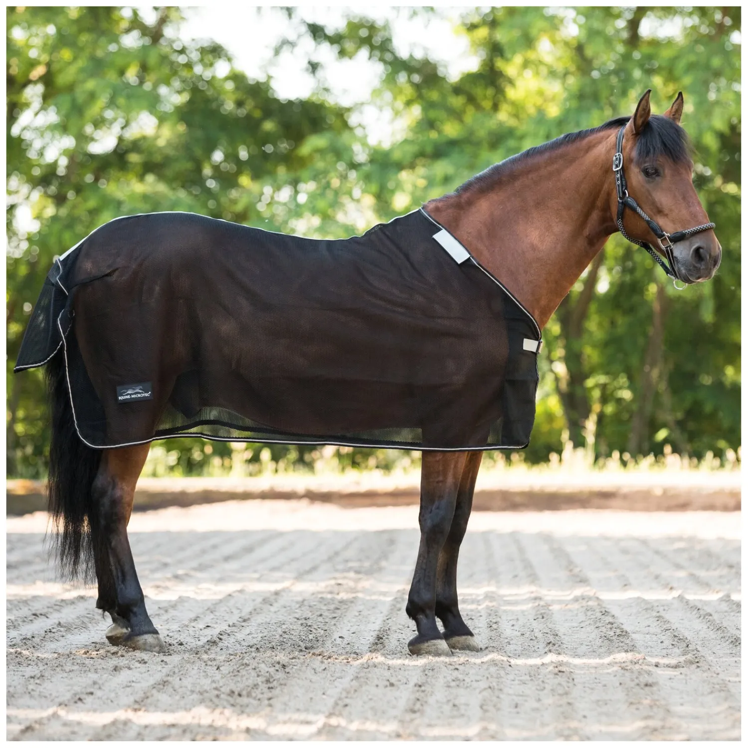 EQUINE-MICROTEC Fliegendecken|Pferdedecken<EQUINE MICROTEC Fliegendecke Micro Mesh Protect