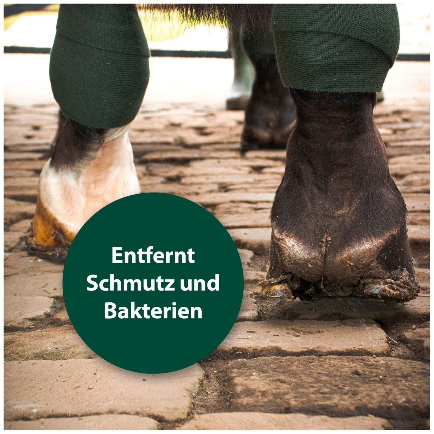 Loesdau Stallapotheke<Equisept Wundpflegespray