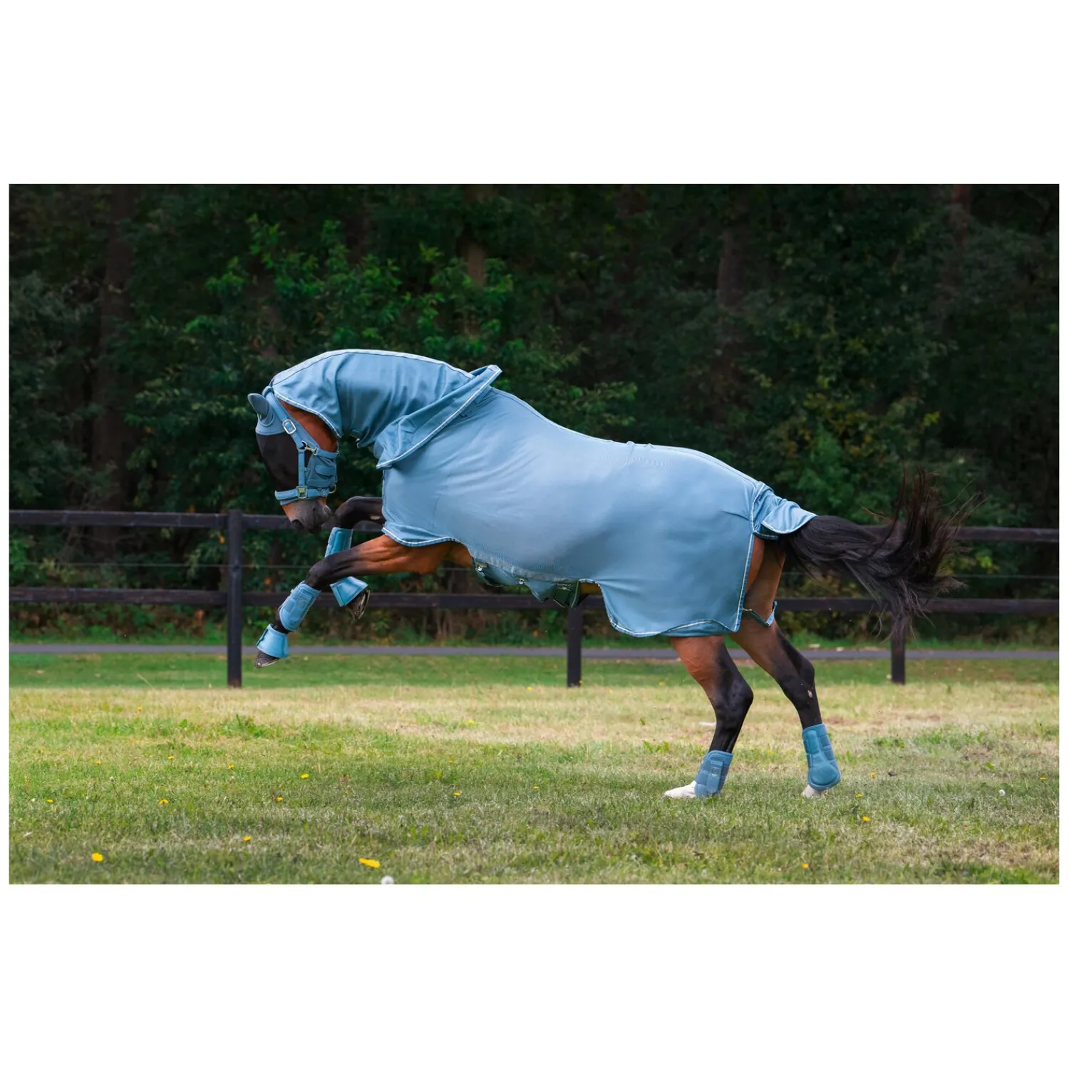 Loesdau Fliegendecken|Pferdedecken<ESKADRON Classic Sports Fliegendecke Fly Detach-Neck